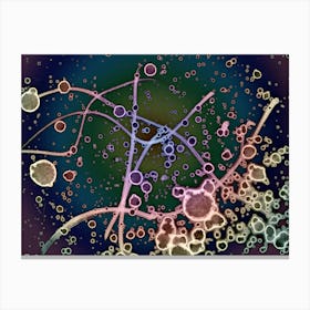 Abstraction Mysterious Spots 2 Canvas Print