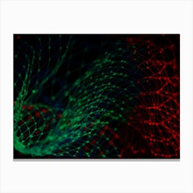 Abstract Image Of A Net Canvas Print