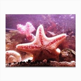 Starfish 1 Canvas Print