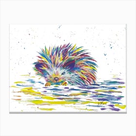Colourful Hedgehog Canvas Print