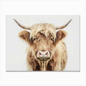 Highland Cow 3 Canvas Print