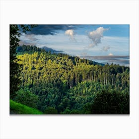 Forest Landscape Canvas Print