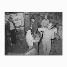 Looking At Cow S Teeth In Auction Barn, San Augustine, Texas By Russell Lee Canvas Print