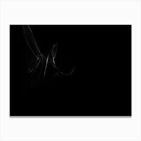 Glowing Abstract Curved Black And White Lines 1 Canvas Print