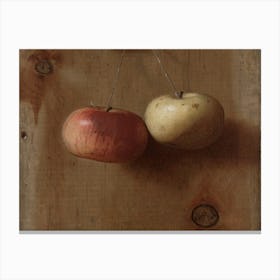 Two Apples Canvas Print