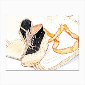 Pair Of Shoes 1 Canvas Print