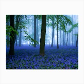 Bluebells In The Forest Canvas Print