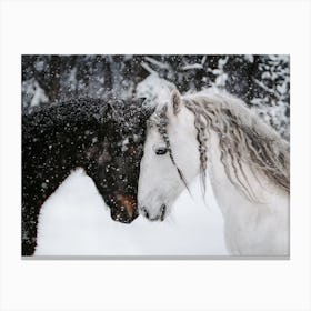 Horses In Snow Storm Canvas Print