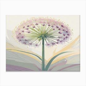 Allium 30 Canvas Print