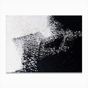 Black And White Splatter. Stained Background. Abstract black paint grunge background Canvas Print