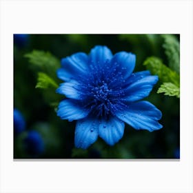 Blue Flower Canvas Print