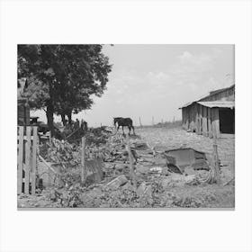 Barnyard Of Tenant Farmer Near Muskogee, Oklahoma, Refer To General Caption Number 20 By Russell Lee Canvas Print
