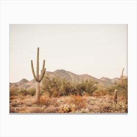 Desert Saguaro View Canvas Print