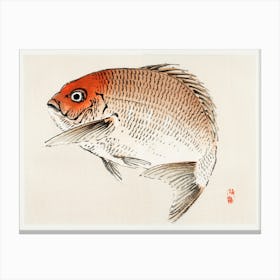 Tai (Red Seabream) Fish, Kōno Bairei Canvas Print