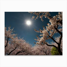 Cherry Blossoms 4 Canvas Print