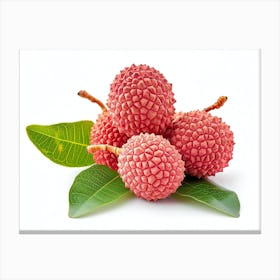 Lychee Fruit 18 Canvas Print