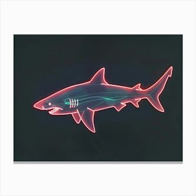 Neon Zebra Shark 1 Canvas Print