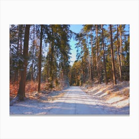 Winter Road In The Forest Canvas Print