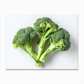 Broccoli On White Background 6 Canvas Print
