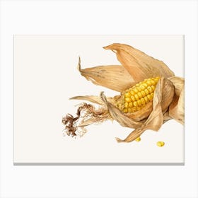 Corn On The Cob Canvas Print