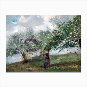 Woman Picking Apples Vintage  19th Century Oil Painting Canvas Print