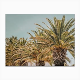 Portugal Palm Trees Canvas Print
