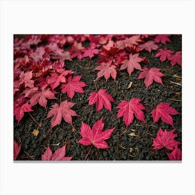 Autumn Leaves 10 Canvas Print