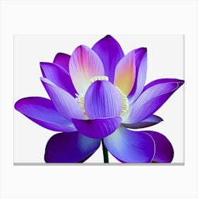 Lotus Flower 1 Canvas Print