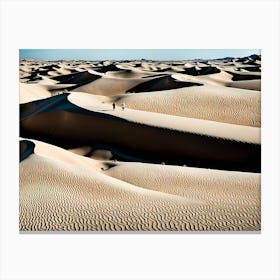 Sand Dunes Canvas Print