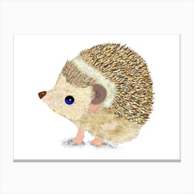 Hedgehog Canvas Print