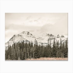 Rustic Mountain Forest Canvas Print