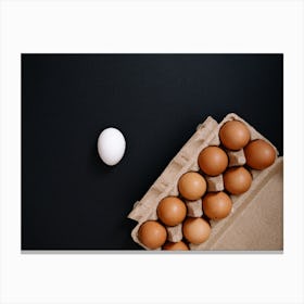 White Egg Isolated On Black Canvas Print