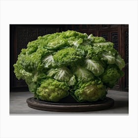 Cabbage Canvas Print