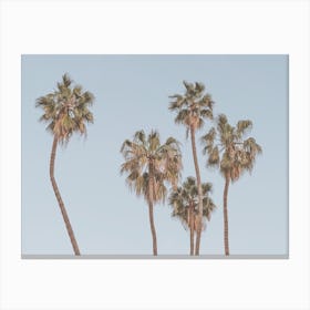 Palm Trees At Beach Canvas Print
