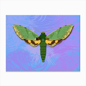 Mechanical Green Butterfly The Euchloron On A Light Blue Background Canvas Print