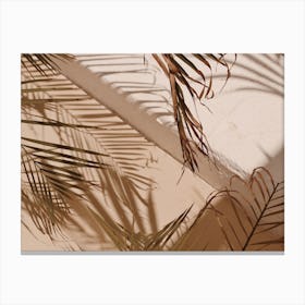 Neutral Palm Leaf Shadows Canvas Print