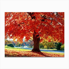 An Autumn Oak Tree Abundantly Lit Branches Spreading Widely Spanning A Slim Sleek Card Leaves Bla (2) Canvas Print