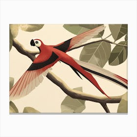 Red Macaw Canvas Print