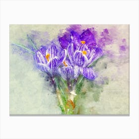 Crocus Canvas Print