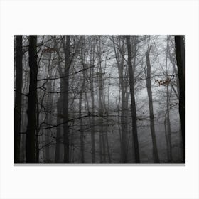 Foggy Forest 3 Canvas Print