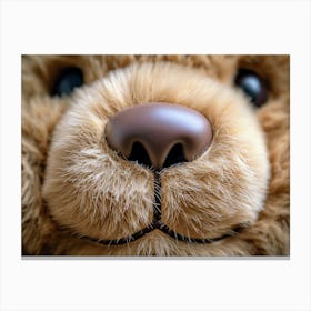 Close Up Of A Teddy Bear nose Canvas Print