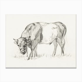 Grazing Bull, Jan Van Ravenswaay, Jean Bernard Canvas Print