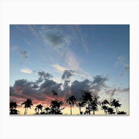 Sunset Over Palm Trees Canvas Print