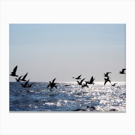 Seagulls Flying Over The Sea Photo Birds Sky landscape sky water bedroom living room lanture Canvas Print