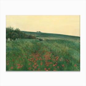 Poppies In The Meadow Canvas Print