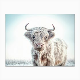 Highland Cow Snowy Field Blue Sky Nature Photography Canvas Print