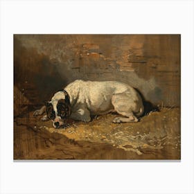 Vintage Painting Dog Laying In The Hay Canvas Print