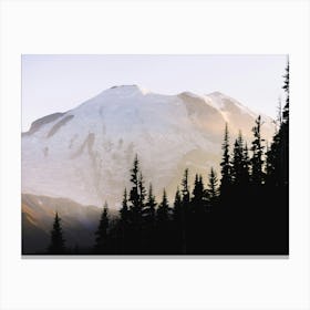 Mount Rainier At Sunset Canvas Print