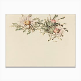 Cactus Flowers Canvas Print