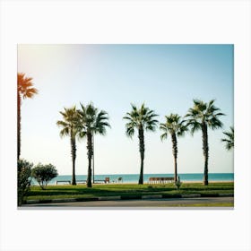 Palm Trees On The Beach 2 Canvas Print